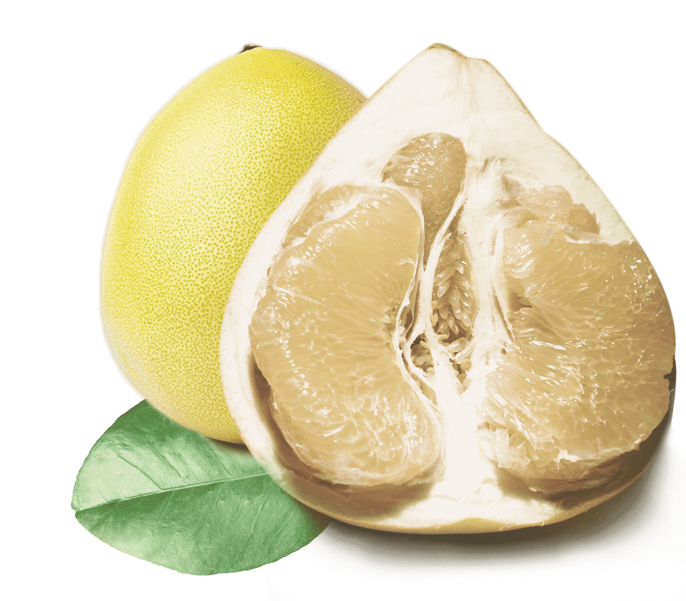 柚子的起源：第三种观点认为柚子起源于地大物博的中国 ？_凤凰网视频_凤凰网